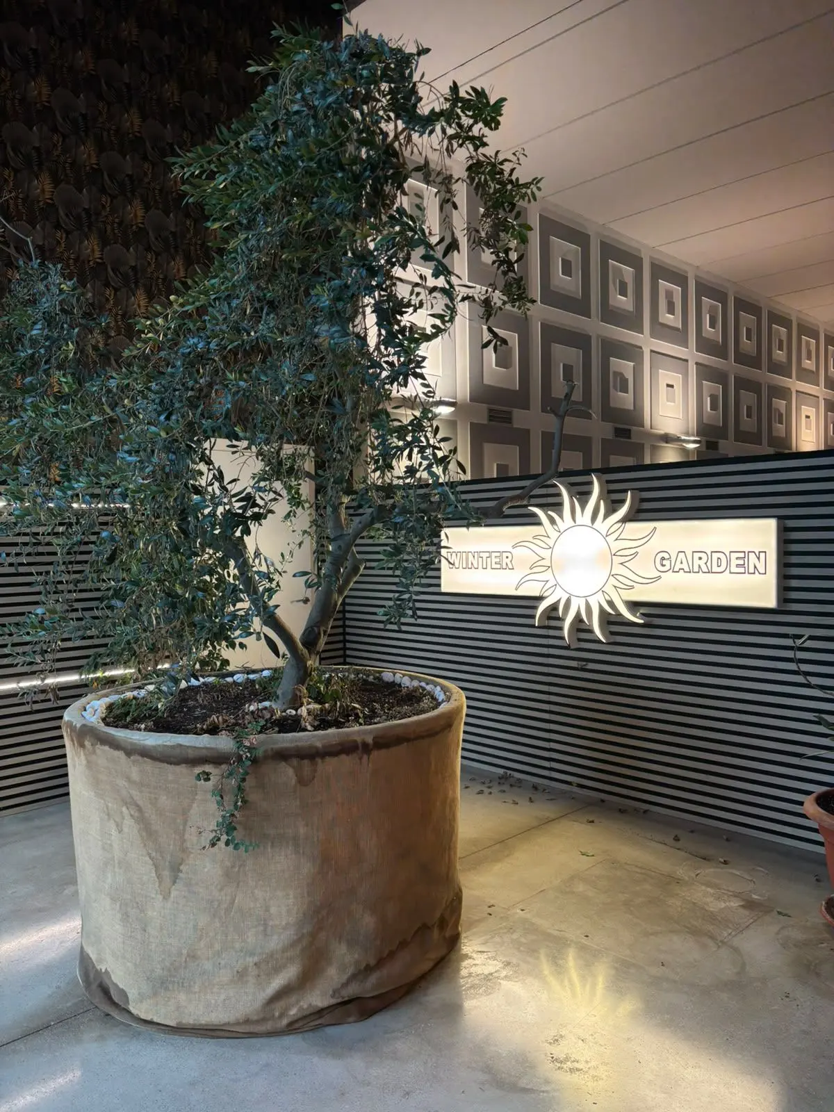 Entrada de Winter Garden con olivo y cartel luminoso