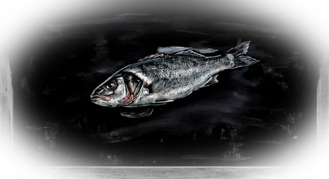 Lubina fresca sobre pizarra